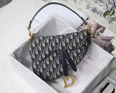 DIOR Handbags 483